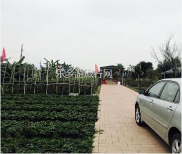 <a href=http://www.lexiangyou.org/xiangcunlvyou/ target=_blank class=infotextkey>乡村旅游</a>：亲子共欢乐，绿水清江休闲游