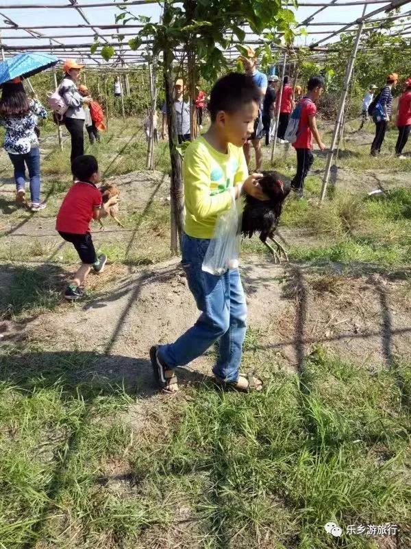 <a href=http://www.lexiangyou.org/xiangcunlvyou/ target=_blank class=infotextkey>乡村旅游</a>：中山左步村系历史文化古村，藏着一个童话的秋天