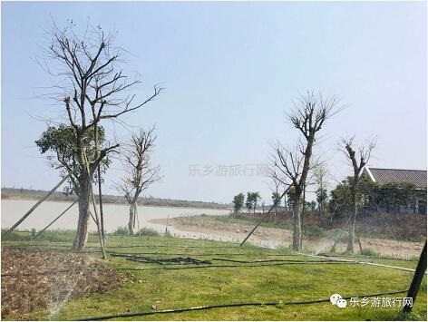 <a href=http://www.lexiangyou.org/xiangcunlvyou/ target=_blank class=infotextkey>乡村旅游</a>：白鹭：翩翩伴春来，我在湿地公园等你~