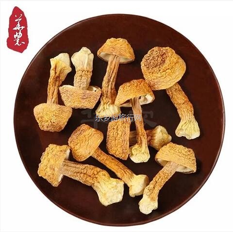 <a href=http://www.lexiangyou.org/xiangcunlvyou/ target=_blank class=infotextkey>乡村旅游</a>：云雾多，风力大，气压低，孕育出健康营养的​菌类植物和谷物